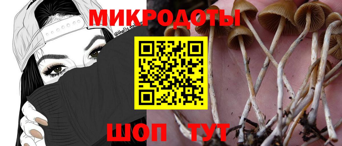 Кызыл  Галлюциногенные грибы GOLDEN TEACHER  Галлюциногенные грибы мицелий  Вход с VPN 